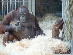 Tiergarten Schönbrunn am 23.03.2023
